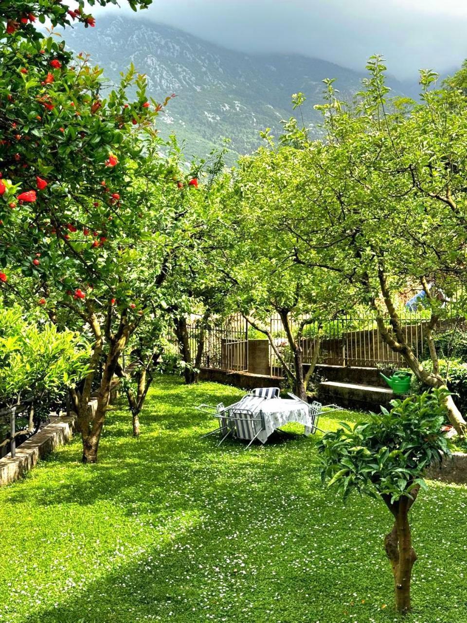 Apartments Andrija Kotor Exterior photo